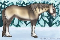 Horse Color:Chocolate Palomino Onyx Sabino 