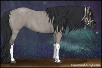 Horse Color:Grullo Roan 