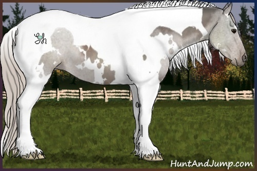Horse Color:White Spotted Silver Black Tobiano 