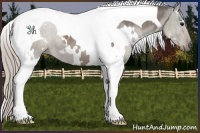 Horse Color:White Spotted Silver Black Tobiano 
