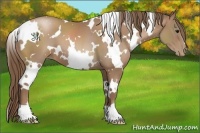 Horse Color:White Spotted Black Pearl 