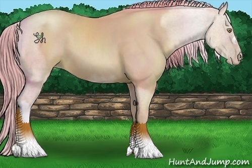 Horse Color:Watercolor Bay Pearl 