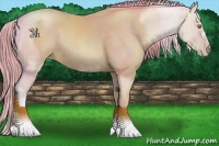 Horse Color:Watercolor Bay Pearl 