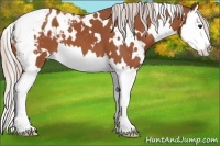Horse Color:White Spotted Chocolate Silver Bay Splash Appaloosa 