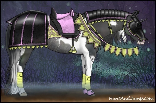 Horse Color:Black Sabino Tobiano Rabicano 