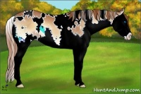 Horse Color:White Spotted Red Onyx Splash