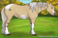 Horse Color:Silver Bay Dun Sabino Tobiano Frame Rabicano