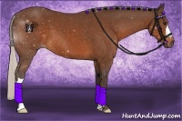 Horse Color:Silver Brown 
