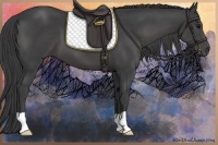 Horse Color:Smoky Black