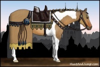 Horse Color:Brown Dun Tobiano