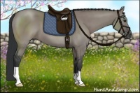 Horse Color:Grullo 