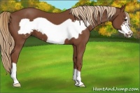 Horse Color:Chestnut Frame 