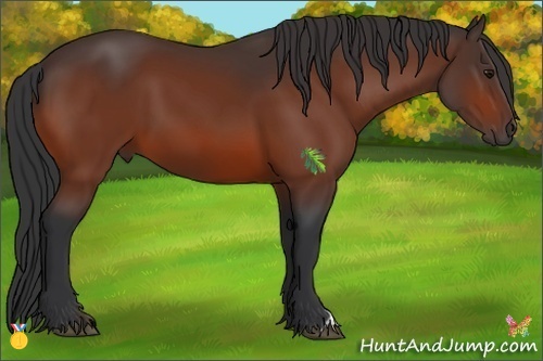 Horse Color:Brown 