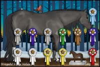 Horse Color:Grullo Brindle