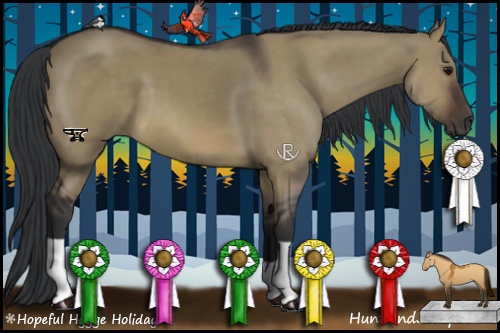 Horse Color:Brown Dun 