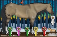 Horse Color:Brown Dun 