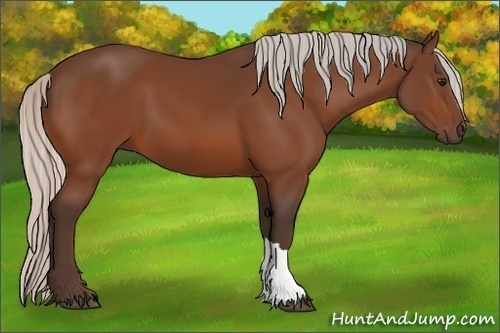 Horse Color:Silver Bay