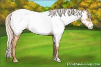 Horse Color:Silver Sable Champagne Frame Appaloosa 