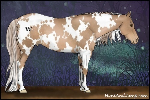 Horse Color:White Spotted Liver Chestnut Pearl 
