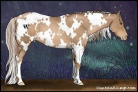 Horse Color:White Spotted Liver Chestnut Pearl 