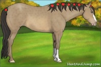 Horse Color:Sable Cream Champagne 