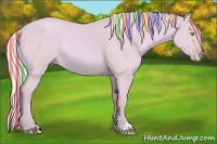 Horse Color:Painted Watercolor Silver Sable Champagne Dun Rabicano