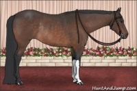 Horse Color:Brown Rabicano