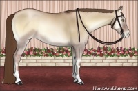 Horse Color:Liver Red Dun Pearl Onyx 