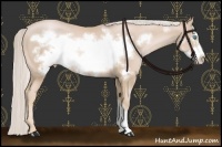 Horse Color:Palomino Pearl Frame