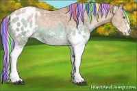 Horse Color:Painted White Spotted Silver Black Ice Pearl Appaloosa 