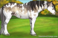 Horse Color:White Spotted Brown Onyx Splash Varnish 