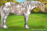 Horse Color:White Spotted Silver Brown Ice Appaloosa 