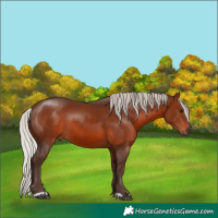 Horse Color:Silver Brown 