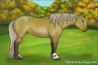 Horse Color:Silver Brown Dun Sabino