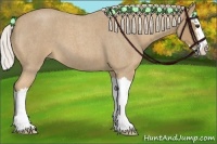 Horse Color:Palomino Roan Splash 