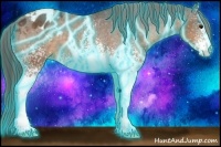 Horse Color:Thunderstruck White Spotted Buckskin Appaloosa
