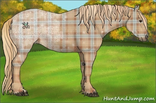 Horse Color:Plaid Chestnut Ice