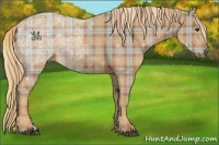 Horse Color:Plaid  Chestnut Ice 