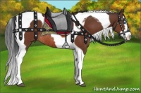 Horse Color:Bay Splash Tobiano Rabicano