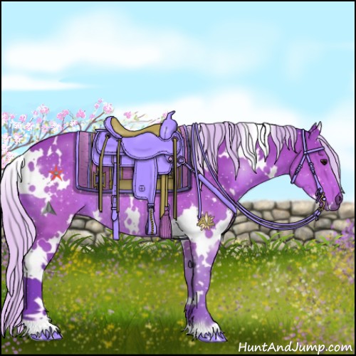 Horse Color:Watercolor White Spotted Silver Brown Rabicano 