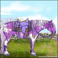 Horse Color:Watercolor White Spotted Silver Brown Rabicano