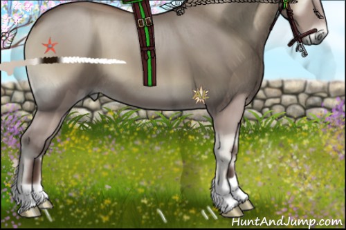 Horse Color:Silver Blue Onyx 