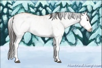 Horse Color:White Spotted Bay Splash  and White Spotted Bay Roan Splash 