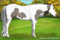 Horse Color:Smoky Grullo Splash Tobiano