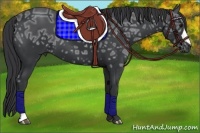 Horse Color:Black Ice 