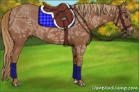 Horse Color:Chestnut Ice 