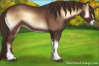 Horse Color:Red Onyx 