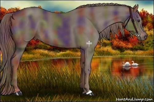 Horse Color:Nacre Liver Chestnut 