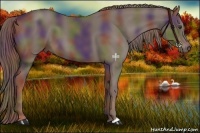 Horse Color:Nacre Liver Chestnut 