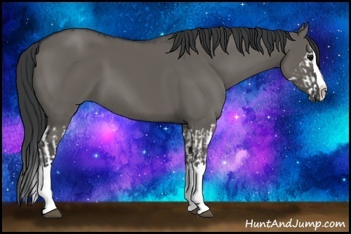 Horse Color:Grullo Sabino Splash  and Grullo Sabino Splash 